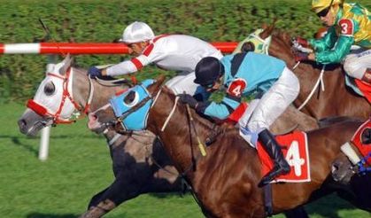 İSTANBUL, GANYAN BAYİİ ADRES VE TELEFONLARI