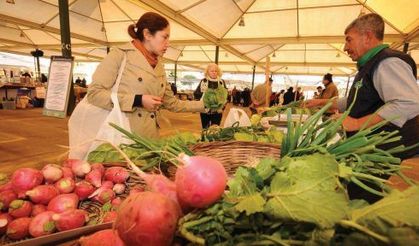 Organik tarım 10 yılda 5 kat arttı