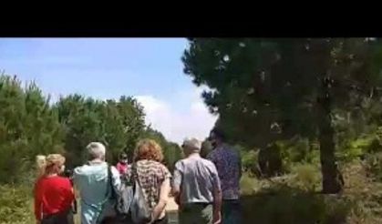 34 Orman Park, Gazetecilere tanıtım gezinti