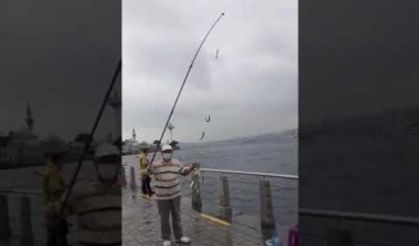 İstavrit Bereketi yaşanıyor