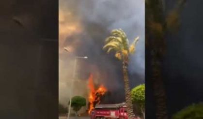 Manavgat Alev Alev Yanıyor