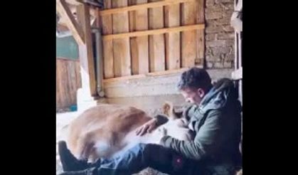 Sevginin Böylesi Az Bulunur