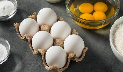 YUMURTA ÜRETİMİNDE SON 3 YILIN REKORU