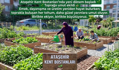 Ataşehir’de Kent Bostanları Yeşeriyor!