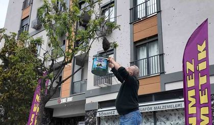 Şehrin Göbeğinde Arı İstilası Değil, "Misafirliği"