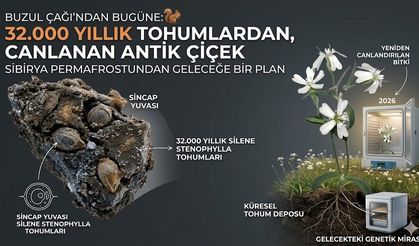 Sibirya’da 32 Bin Yıllık Donmuş Tohumlar Yeniden Canlandırıldı!