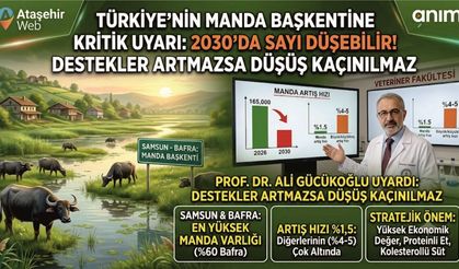 Türkiye'nin Manda Başkentine Kritik Uyarı: 2030 Yılında Büyük Tehlike!