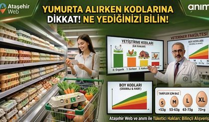 Aldığınız Yumurta Aslında Ne Kadar Sağlıklı?