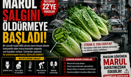 MARUL SALGINI  ÖLDÜRMEYE BAŞLADI