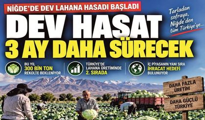 Niğde’de 300 Bin Tonluk Dev Lahana Hasadı Başladı