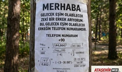 Sokak Lambasına İlan Astı: “Adayların Zeka Seviyesini Ölçecek”