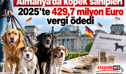 Almanya'da köpek sahipleri 2025’te 429,7 milyon Euro vergi ödedi