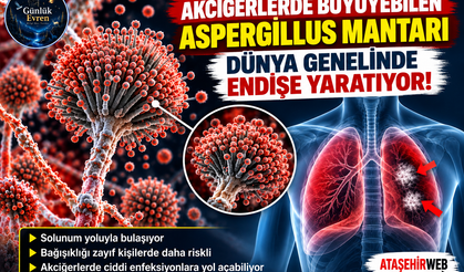 Akciğerlerde Büyüyebilen Aspergillus Mantarı Dünya Genelinde Endişe Yaratıyor!