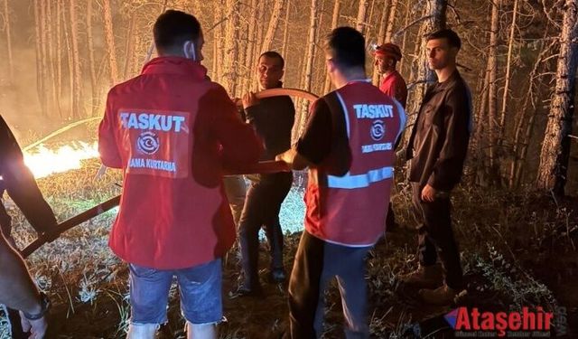 Sahada Bir Vali: Yangına Karşı Vicdan Mücadelesi