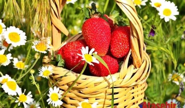 Helvadere Çileği Dünya Sahnesinde