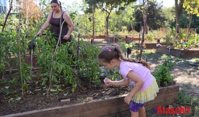 ATAŞEHİR BELEDİYESİ’NİN KENT BOSTANLARI İÇİN YENİ DÖNEM BAŞVURULARI BAŞLIYOR