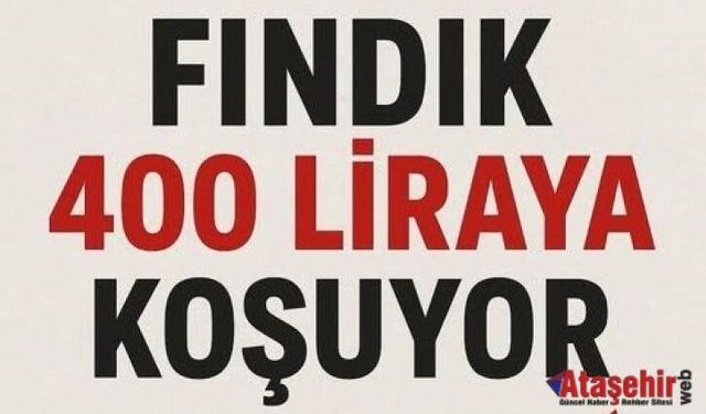 Fındıkta Fiyat Yarışı: 400 TL’ye Doğru Gidiyor!