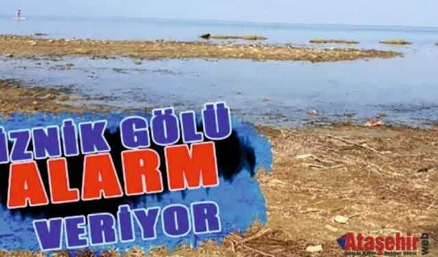 İznik Gölü adeta bir yardım çığlığı atıyor. 