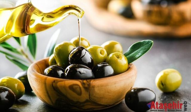 Türk zeytin ve zeytinyağı sektörü Kanada’yı radarına aldı