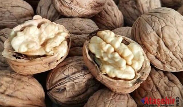 Bilecik Cevizi: Anadolu’nun Lezzetli Mirası