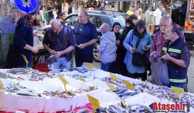 Karadeniz’in Bereketi Tezgahlarda: Hamsi Sofraları Şenlendiriyor