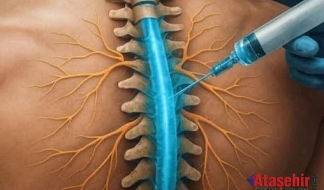 Omurilik Yenileyen İlk İlaç Geliştirildi