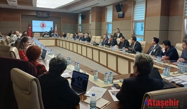 “33 Çocuktan 1’i Otizm Tanısı Alıyor”