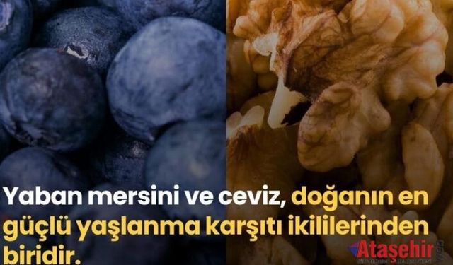 Doğanın Güçlü İkilisi: Yaban Mersini ve Ceviz
