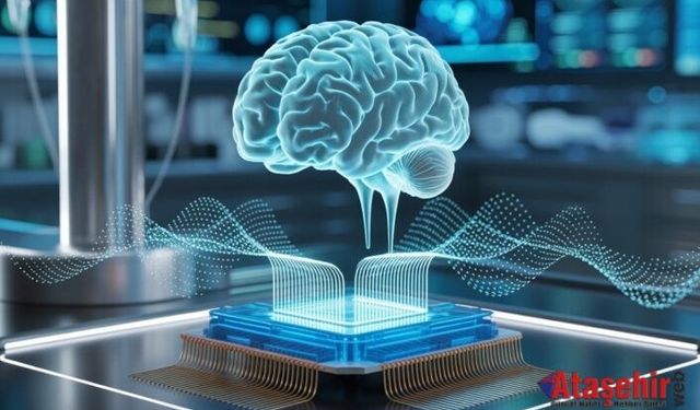 Erken Alzheimer’da Hafızayı Geri Getiren Beyin İmplantı Geliştirildi