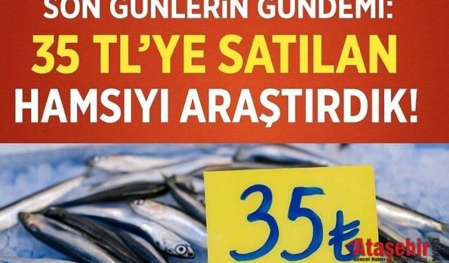 Hamsinin Kilosu 35 TL