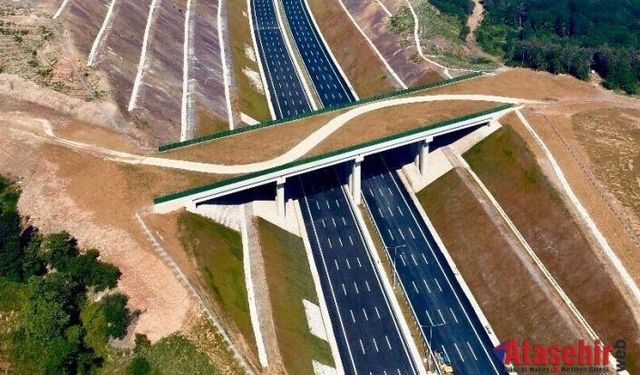 Kuzey Marmara Otoyolu ve Ekolojik Köprüler