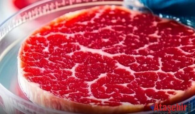 Macaristan’da Laboratuvar Eti Yasaklandı