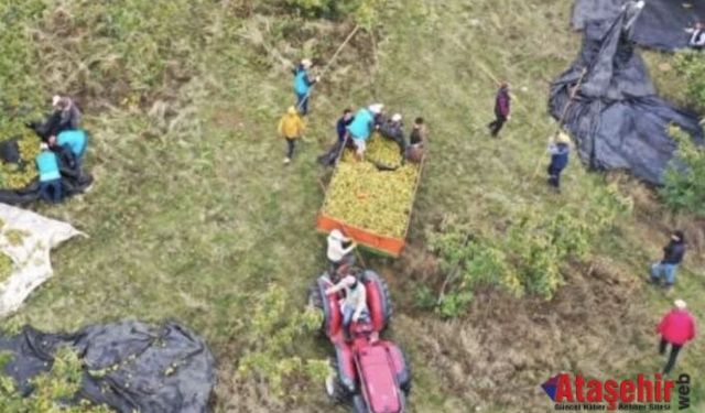 Mimar Baba ve Mühendis Kızı, Çorak Araziden 20 Ülkeye İhracata Ulaştı