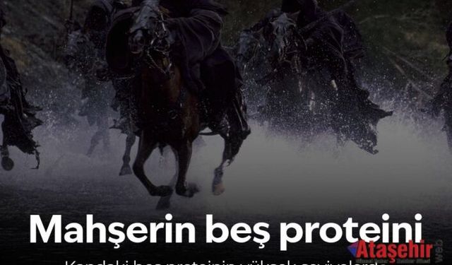  Ölüm Riskini Gösteren Beş Kan Proteini