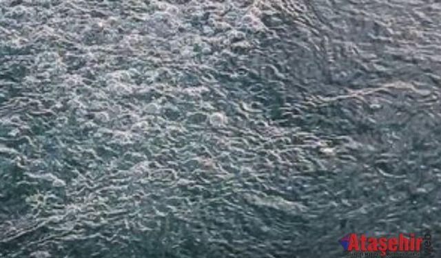 Sapanca Gölü’ndeki Kabarcıklara Bilimden Net Açıklama 