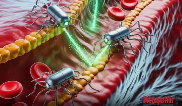 Tıpta Yeni Dönem: Hasar Gören Organları İçeriden Onaran Nanobot Sürüsü