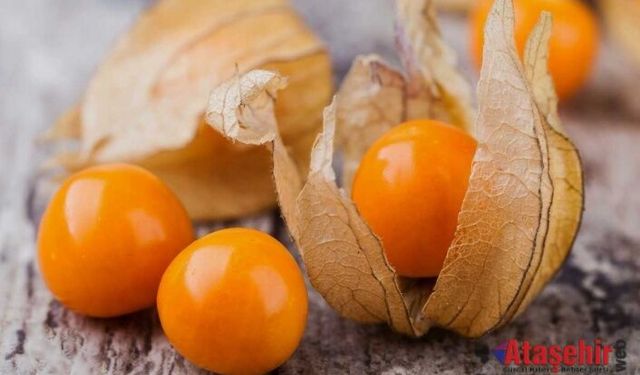 Altın Çilek: Sağlık Hazinesi Raflarda Yerini Alıyor