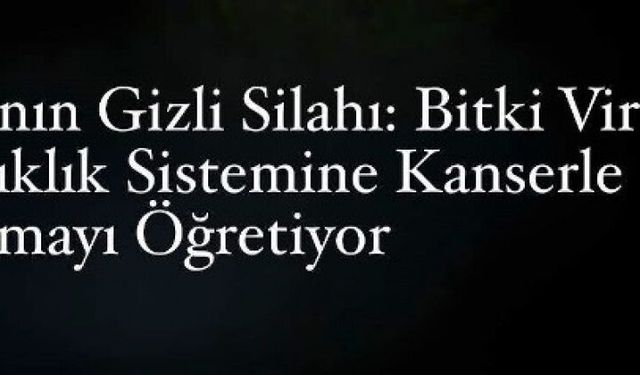 Bir Bitki Virüsü Kansere Karşı “Keskin Nişancı” Olabilir mi?