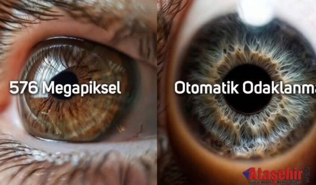 İnsan Gözü: Doğanın En Gelişmiş Kamerası