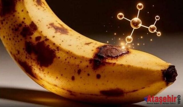 Kahverengi Muzlar Kanserle Mücadelede Umut Olabilir