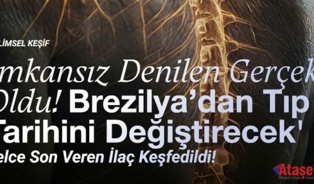 Omurilik Tedavisinde Çığır Açan Buluş: Brezilya’dan Dünyaya Umut
