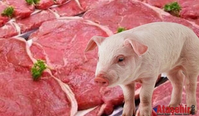 Türkiye’de Domuz Eti Satışının En Yoğun Olduğu İller Açıklandı: Balıkesir 5. Sırada