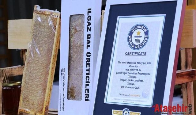Ilgaz Balı Guinness Rekoru Kırdı: Dünyanın En Pahalı Balı