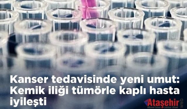  QUILT-106: Doğal Katil Hücrelerle Kanser Tedavisinde Yeni Umut