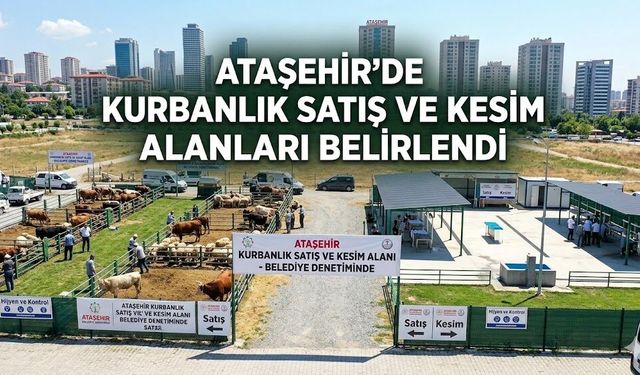 ATAŞEHİR’DE KURBANLIK SATIŞ VE KESİM ALANLARI BELİRLENDİ