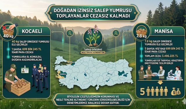 DOĞADAN İZİNSİZ SALEP TOPLAYANLARA REKOR CEZA