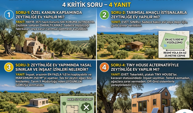 Zeytinlik Tapulu Araziye Ev Yapılır mı