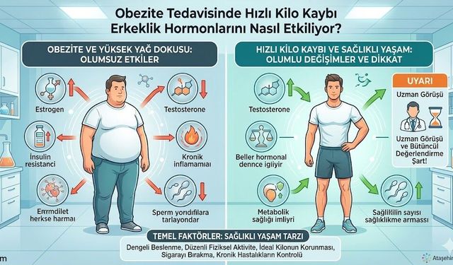Hızlı Kilo Vermek Erkeklik Hormonunu Etkiler Mi