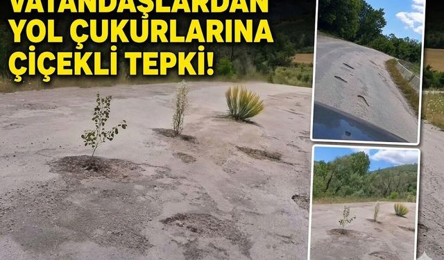 Vatandaşlar Yol Çukurlarına Çiçek Dikti!