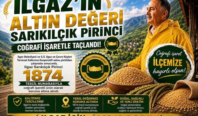 Ilgaz’ın Sarıkılçık Pirinci Coğrafi İşaret Aldı!